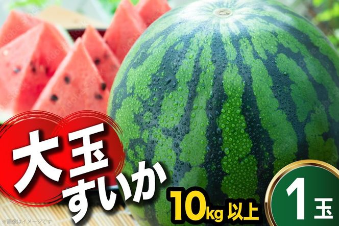 BJ635 【令和9年度出荷分】 スイカ 大玉スイカ 4Lサイズ（10kg以上） [ フルーツ 果物 西瓜 大玉 大きい 2L 3L まるき農園 長崎県 島原市 ]
