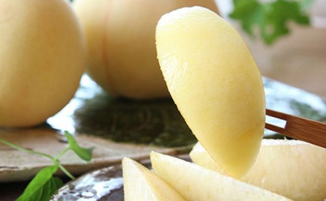 桃 2026年 先行予約 清水 白桃 2kg 6～8玉 もも モモ 岡山 国産 フルーツ 果物 ギフト 桃茂実苑