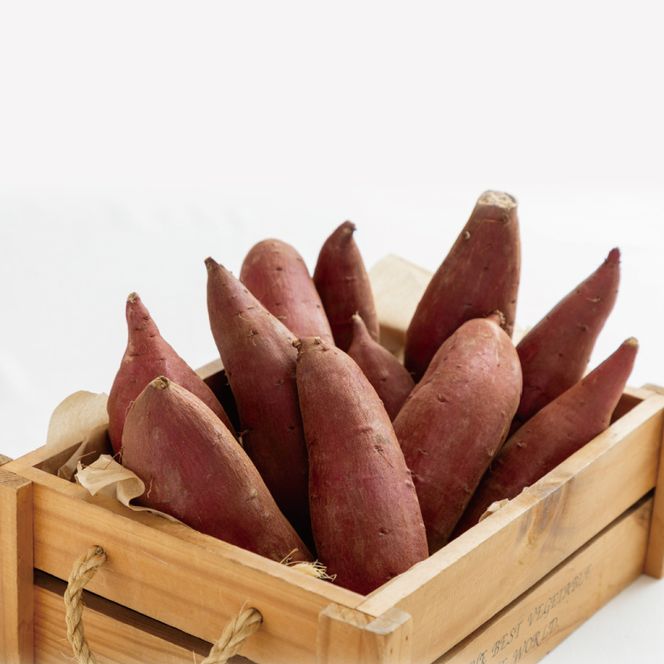 【緊急支援品】 訳あり 無選別 行方台地のさつまいも 熟成 シルクスイート 約10kg 【2026年4月下旬より順次発送】｜シルクスイート 茨城県(CU-85-6)