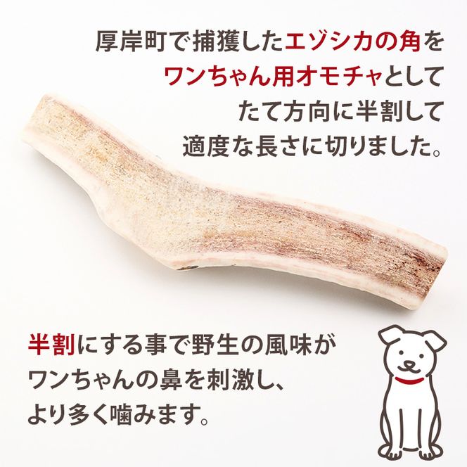 厚岸町産 わんちゃん用 エゾ鹿の角 半割1本 20cm 中型～大型犬用 【deer food】[犬 おもちゃ 犬用ガム ペット用品 鹿角 長持ち デンタルケア ペット ] 