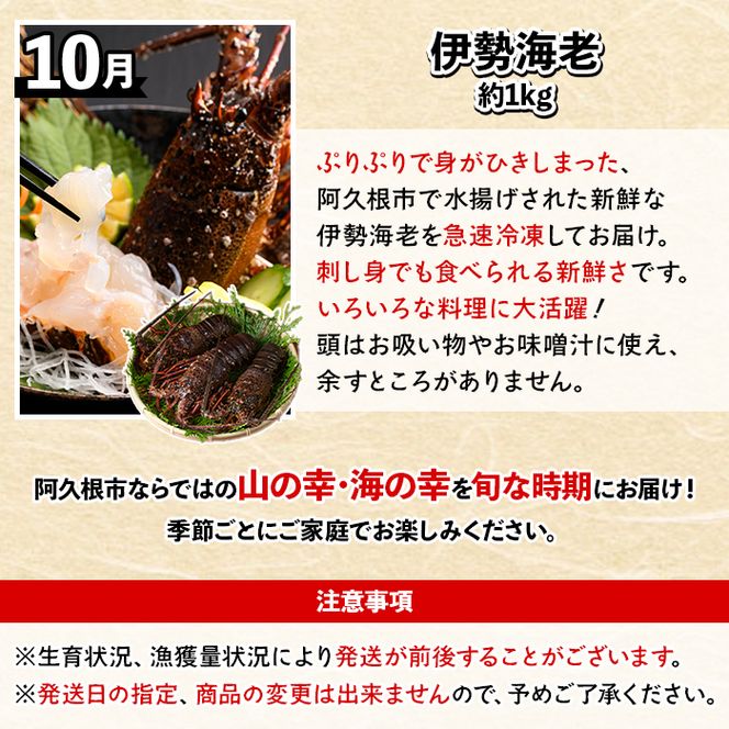 ＜定期便・全6回(偶数月)＞阿久根旬のごちそう定期便(ぼんたん・露地不知火・そら豆・南国グリーンメロン・大玉スイカ・伊勢海老) 国産 フルーツ 果物 柑橘 野菜 豆類 魚介 ボンタン 文旦 そらまめ すいか えび エビ 季節 訳あり 【松永青果】akn053-50