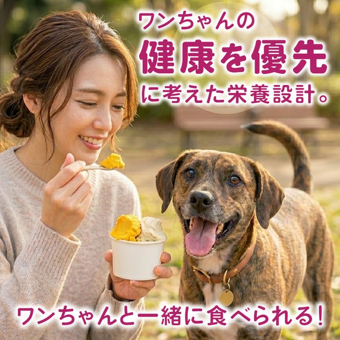 プラントベースアイスクリームセット　for humans and dogs さつまいも味・かぼちゃ味｜茨城県 行方市 ふるさと納税 アイス お菓子 植物性ミルク 豆乳 スイーツ デザート（HZ-2）