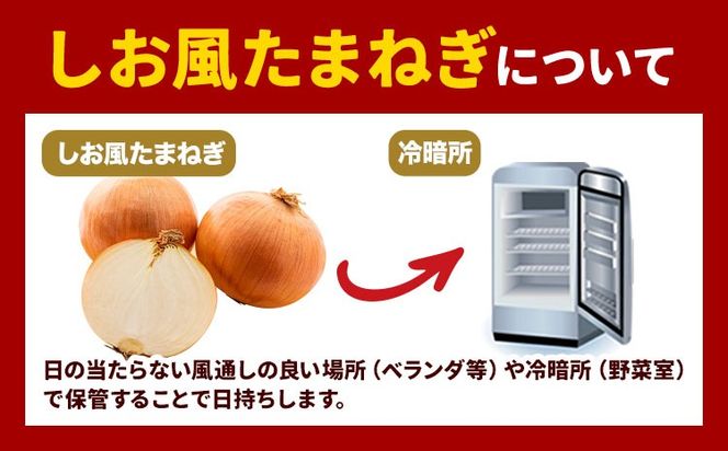 たまねぎ【2025年先行予約分】しお風たまねぎ 約2kg《2025年6月上旬-6月末頃出荷》 玉ねぎ たまねぎ 野菜 青果物 岡山県 笠岡市 玉ねぎ 2kg---223_1054_6j6m_24_3500_2kg---