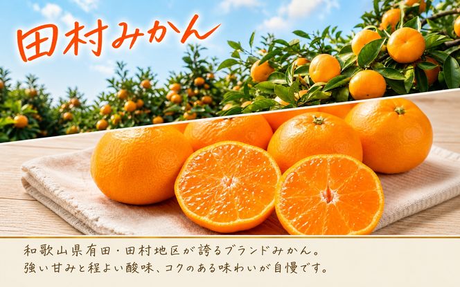 【全3回】紀州和歌山産旬のフルーツ定期便 (田村みかん・いちご・なつみ) 【tkb374】