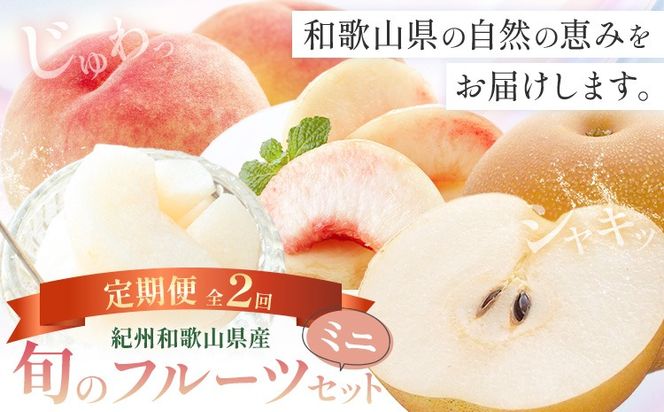 紀州 和歌山県産 旬の フルーツ セット ミニ 2ヶ月定期便 8月・9月配送 桃 3玉 梨 3玉 株式会社魚鶴商店《8月-9月頃出荷》和歌山県 日高川町 もも なし 定期便 果物 旬---wshg_uot102tei_26_20000_89y2---