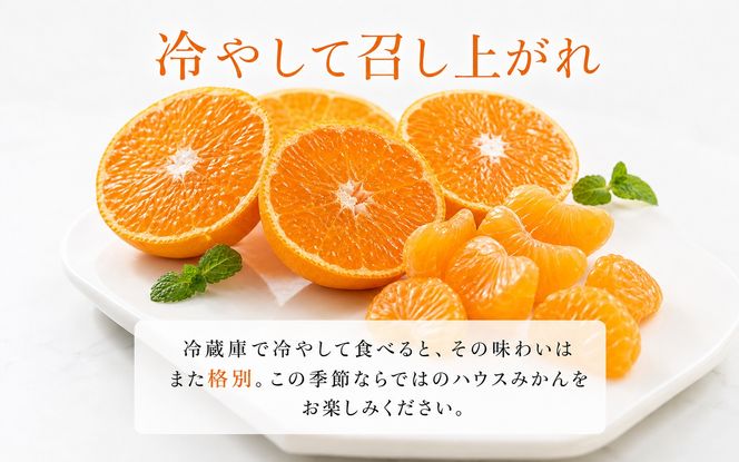 赤秀品　紀州和歌山ハウスみかん2.5kg【予約】※2027年6月末頃〜7月中旬頃に順次発送予定(お届け日指定不可)【uot735B】