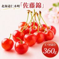 2027年発送 北海道 仁木町産 さくらんぼ 佐藤錦 360g (180g×2パック) L-Mサイズ 混合  旬 桜桃 産地直送 サクランボ チェリー フルーツ 果物 果物類 仁木町 仁木 [松山商店]