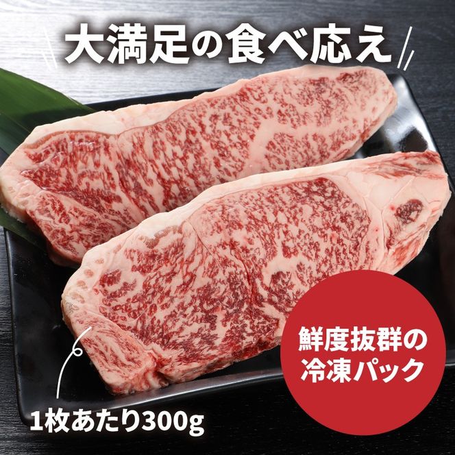 宮崎牛 特上ロースステーキ A4等級以上 600g(300g×2枚)  K16_0009_2