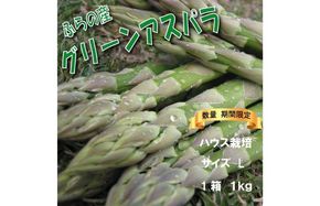 2026年春発送 ふらの産 グリーンアスパラ1kg［Lサイズ］ハウス栽培 富良野 北海道 野菜 アスパラ 朝採り アスパラガス