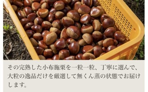 無燻蒸小布施栗約1kg及び栗羊羹詰め合わせ ［おぶせファーマーズ］ 果物 フルーツ 生栗 くり 栗 無くん蒸　スイーツ 和菓子 かのこ 羊羹 栗羊羹 ようかん 詰め合わせ 長野県産 信州産 令和7年産 【2025年9月下旬～11月上旬発送】 ［F-65］