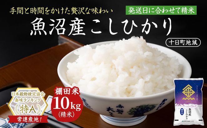 魚沼産こしひかり 棚田米(十日町地域) 精米 10kg(5kg×2) 米 お米 コシヒカリ 十日町市