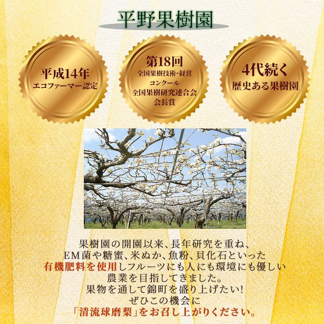 梨 旬 5kg 先行予約 2026年発送 平野果樹園 錦の梨 なし フルーツ 果物 デザート 配送不可:離島