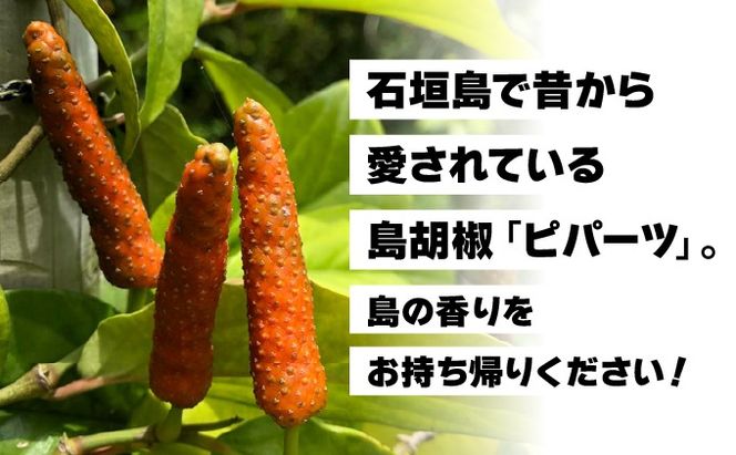 ガリガリ粗挽きピパーツ 石垣島産「島胡椒」詰替（3袋）IN-02