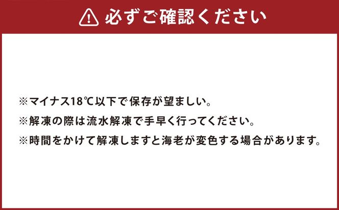 【2025年12月16日迄に入金確認で年内発送】天草産 活〆冷凍 車海老 500g（特大） 12～14尾 車えび 車エビ えび 海老 エビ 冷凍 国産 熊本県 上天草市【2025年11月下旬発送開始】