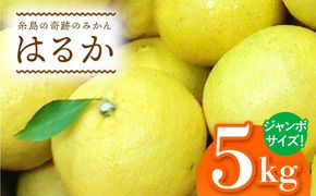 爽やかに甘い！ 糸島産 「はるか」 ジャンボサイズ 約5kg（3L-4Lサイズミックス）糸島市 / 二丈赤米産直センター[ABB031]