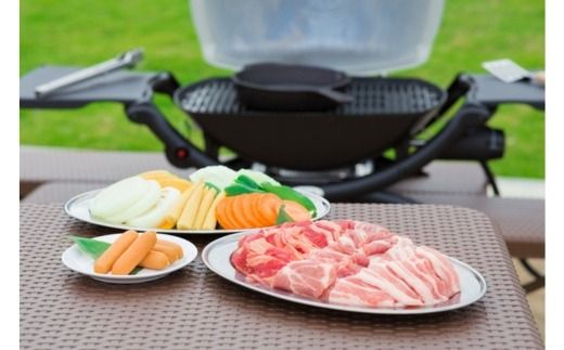 手ぶらで気軽に「農」に触れることができる！ あい農パーク春日井施設利用券【6,000円分】