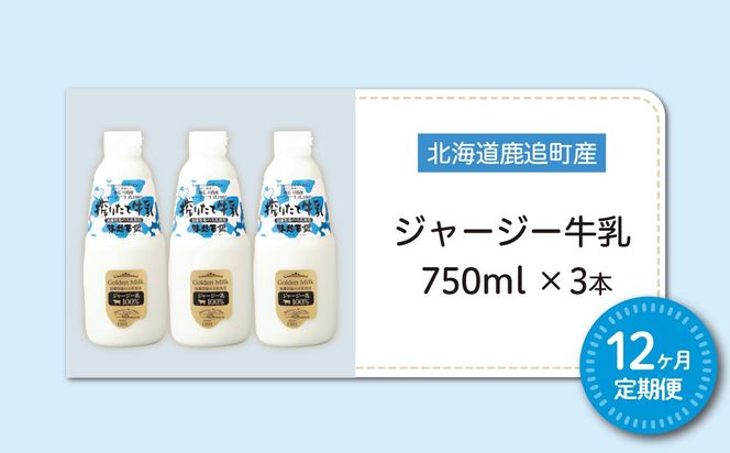 【定期12ヶ月】ジャージー牛乳 750ml ×3 SKM049