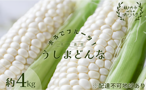 ［2026年先行予約］ 牛窓産とうもろこし まるでフルーツ！ 生で甘い、茹でて美味い！ 白色とうもろこし 「うしまどんな」約4kg（8～12本入り） 野菜 ホワイトコーン 夏野菜 おやつ 間食 お弁当 バーベキュー BBQ[№5735-1233]