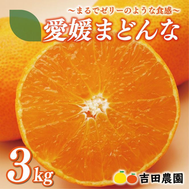 数量限定 先行予約 愛媛 まどんな 3kg みかん サイズミックス 18000円 愛果28号 紅まどんな 同品種 あいか アイカ 高級 人気 ブランド 柑橘 果物 フルーツ 期間限定 産地直送 国産 農家直送 特産品 お取り寄せ ギフト プレゼント お歳暮 mikan 蜜柑 ミカン マドンナ スマイルカット 甘い おいしい ゼリー ぷるぷる 吉田農園 愛南町 愛媛県