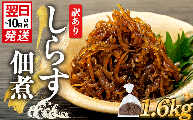 訳あり 釜揚げ しらす 佃煮 1.6kg(160g×10袋) 小分け 減塩 無添加 無着色 冷凍 愛知県 南知多町 ご飯 ごはん 丼 料理 国産 カネ成 シラス 人気 おすすめ シラス しらす しらすごはん shirasu sirasu SIRASU 人気シラス