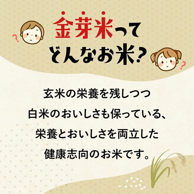【新米予約】金芽米 定期便 無洗米 10kg (5kg×2袋)× 12ヶ月 計 120kg 令和8年 米 特別栽培米 ひとめぼれ 宮城県 加美産 BG無洗米 [ 宮城県 加美町 ] km-km-knm10-t12-r8 | km-km-knm10-t12-r8