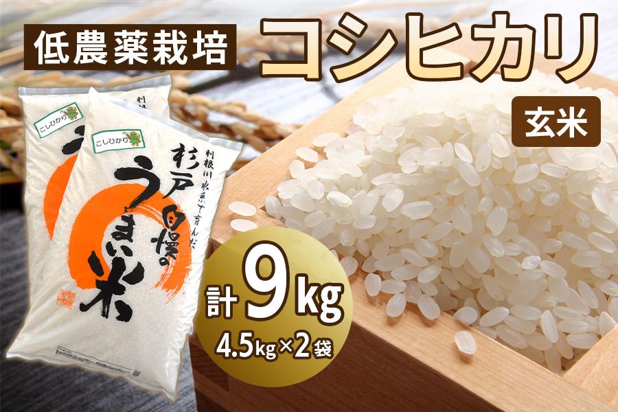 低農薬栽培のコシヒカリ[玄米]9kg (4.5kg×2袋)|おいしい お米 コメ こめ ご飯 ごはん お取り寄せ 直送 贈り物 贈答品 ふるさと納税 埼玉 杉戸 [0647]