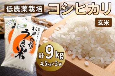 新米 低農薬栽培のコシヒカリ《玄米》9kg (4.5kg×2袋)｜おいしい お米 コメ こめ ご飯 ごはん 白米 玄米 お取り寄せ 直送 贈り物 贈答品 ふるさと納税 埼玉 杉戸 [0539]