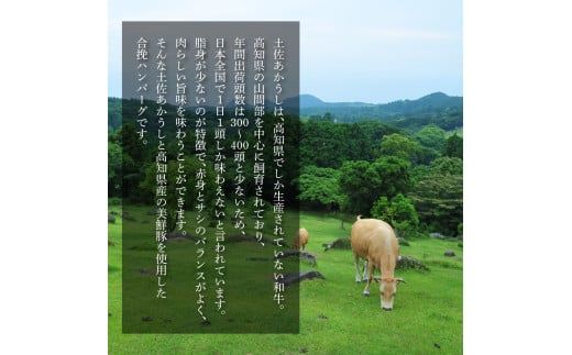 【CF-R7hbk】CDM043 ハンバーグとかぼちゃポタージュのセット（各3食）南瓜 かぼちゃ カボチャ スープ ポタージュ 土佐あかうし 四万十ポーク お店の味 ごはん 惣菜 3食分 レトルト 美味しい おいしい 国産 高知県産