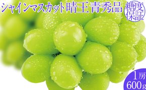 2026年予約受付中 シャインマスカット晴王 1房 約600g  7月～8月出荷 人気 岡山県産 種無し 皮ごと食べる みずみずしい  フレッシュ 晴れの国 おかやま 果物大国 ハレノフルーツ