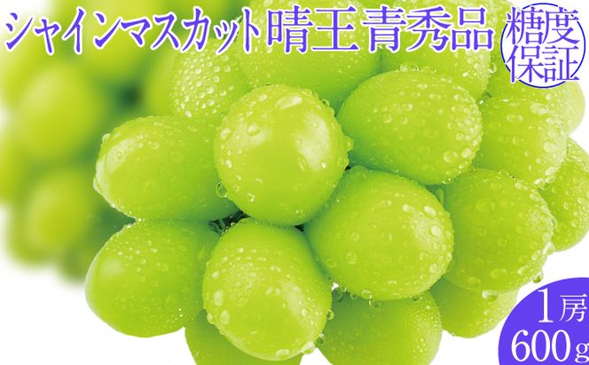 2026年予約受付中 シャインマスカット晴王 1房 約600g  7月～8月出荷 人気 岡山県産 種無し 皮ごと食べる みずみずしい  フレッシュ 晴れの国 おかやま 果物大国 ハレノフルーツ