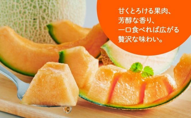＜2026年発送＞ふらの産 しあわせのメロン 赤肉 大玉 2玉 計4kg メロン 富良野メロン