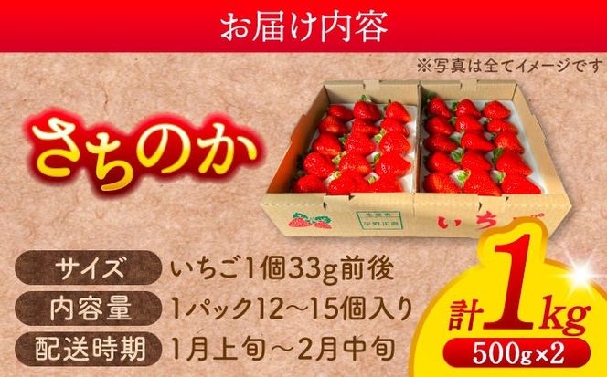 【先行予約/2026年1月上旬より順次発送】さちのかいちご 500g×2パック 計1kg イチゴ フルーツ 果物 愛西市 / 平野苺[AEAY001]