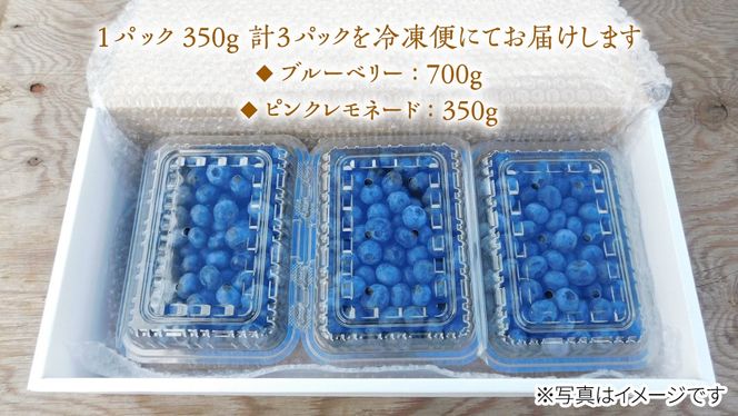 【 数量限定 】 冷凍 完熟 ブルーベリー 700g と ピンクレモネード 350g の 詰合せ セット 食べ比べ (1パックあたり 350g )  ベリー 甘い 甘酸っぱい 完熟 新鮮 フルーツ 果物 くだもの 贈り物 贈答 ギフト 国産 茨城 農園 産地直送 [AL004us]