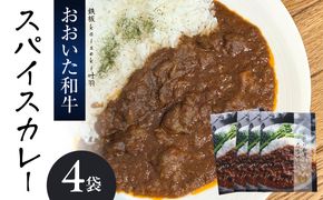 【K03039】おおいた和牛 スパイスカレー 4袋
