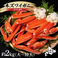 殻付き 本ずわいがに 肩脚 2kg 年末年始 お歳暮 正月 ギフト 2025