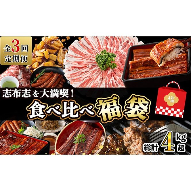 【定期便全３回】志布志を大満喫！食べ比べ福袋 総計４kg超 t0084-008