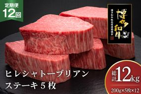 肉 博多和牛 ヒレ シャトーブリアンステーキ 200g 5枚 計 1kg 12回 定期便 総計 12kg [久田精肉店 福岡県 宇美町 um40bsi440015] 牛 牛肉 ヒレシャトーブリアンステーキ ステーキ 和牛 ソース ソース付き 冷凍