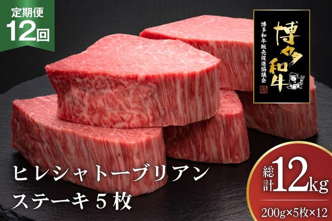 肉 博多和牛 ヒレ シャトーブリアンステーキ 200g 5枚 計 1kg 12回 定期便 総計 12kg [久田精肉店 福岡県 宇美町 um40bsi440015] 牛 牛肉 ヒレシャトーブリアンステーキ ステーキ 和牛 ソース ソース付き 冷凍