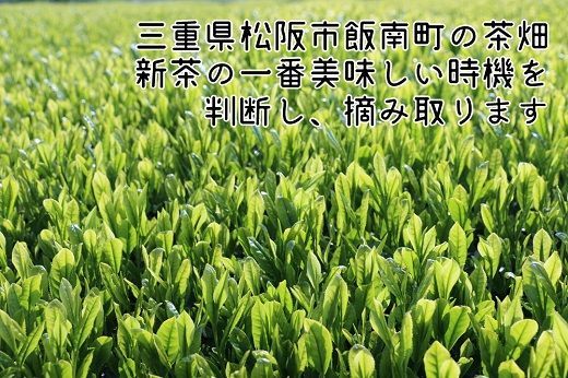 【1-230】松阪茶Leaf Tea Cup 25個入り