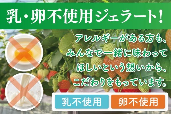 あまりんのジェラート　6個（CJ005）