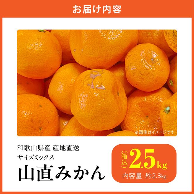 MK1037_【2026年先行予約】みかん 山から直送 箱込 2.5kg ( 内容量 2.3kg ) 鮮度優先ごろごろ規格 和歌山県産 産地直送 【みかんの会】
