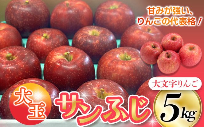 りんご・梨カテゴリ人気ランキング入り！≪12月末までの受付*無くなり次第終了≫【12月上旬より順次発送】大文字りんご園 サンふじ『大玉 約5kg』 (約10～12玉)  / 樹上完熟 りんご リンゴ 林檎 果物 くだもの フルーツ 甘い 旬 産地直送 予約 先行予約【dma513-sf-5D-big】