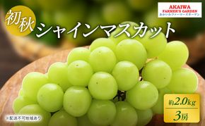 ぶどう 2026年 先行予約 シャインマスカット 約2.0kg 3房 初秋 葡萄 岡山県 赤磐市産 フルーツ 果物 あかいわファーマーズガーデン 果物類