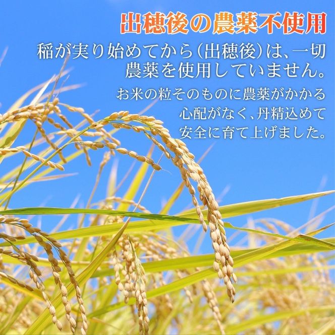 米 もち米 2kg 新米 ヒヨクモチ 令和7年度産 餅 おもち 赤飯 おこわ おはぎ ぼたもち 大福 静岡県 藤枝市産 静岡のお米 精米 産地直送 静岡県 藤枝市