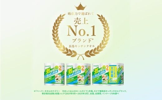【定期便】2回発送 選べる発送間隔 ネピア激吸収キッチンタオル4ロール100カット×12パック | 日用品 消耗品 生活用品 ペーパータオル キッチンペーパー キッチン用品 厚手 ストック 吸水 防災 備蓄 まとめ買い 全国 発送 一人暮らし nepia ネピア