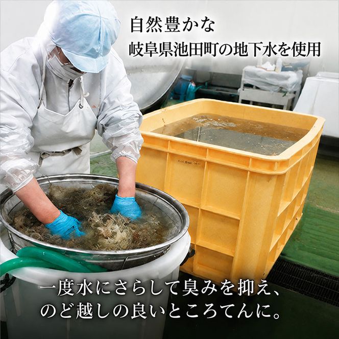 ところてん 昔ながらの手突きさらし トコロテン 1袋2パック×12袋