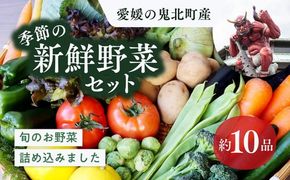 鬼北の大地が育んだ新鮮野菜！季節の新鮮野菜詰め合わせ　＜野菜 やさい 詰め合わせ 新鮮 旬 季節 愛媛県 鬼北町＞