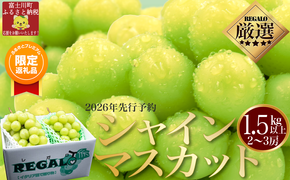 【ふるプレ限定品】【2026年発送分 先行予約】頬張る幸福感　～緑の宝石・シャインマスカット～　１．５ｋｇ以上（２～３房） フルーツ 山梨県産 果物 シャイン マスカット ぶどう ブドウ 大粒 種なし 種無し 先行予約 富士川町