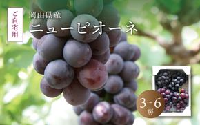 真庭市産 ニューピオーネ 自宅用 3～6房 (2026年8月中旬以降発送予定) ｜ニューピオーネ 岡山ニューピオーネ ニューピオーネ ぴおーね ぶどう 葡萄 ブドウ 果物 フルーツ ぶどう 自宅用 訳あり 岡山 真庭 ピオーネ 真庭市 大粒 葡萄 果物 フルーツ 濃厚 ピオーネ 人気 数量限定 黒ぶどう 大粒 種なし スイーツ 【配送不可地域：北海道／沖縄県／離島】【jujy007-02】
