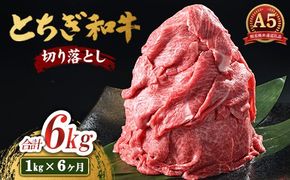 【6ヶ月定期便】とちぎ和牛 A5 切り落とし 1kg【栃木県共通返礼品・栃木県産】 | 肉 牛肉 和牛 国産 切り落とし 栃木県 鹿沼市